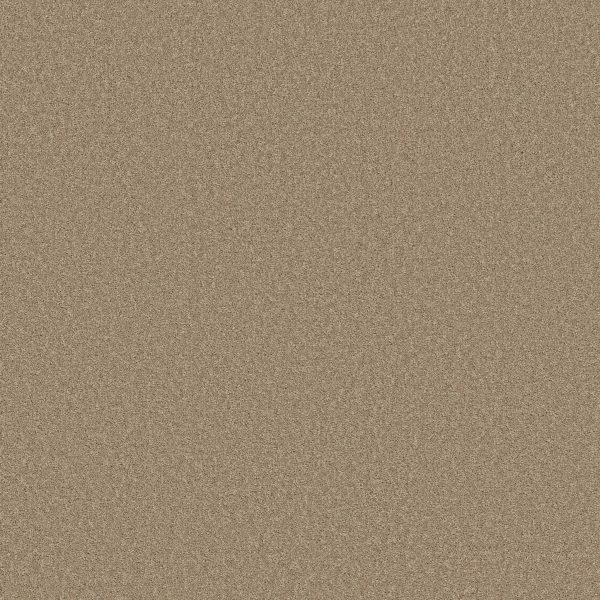 Shaw Floors Retail SOMETHING SWEET - 00711 HICKORY