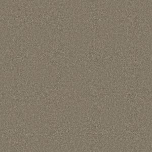 Shaw Floors Retail SOMETHING SWEET - 00714 BARN WOOD