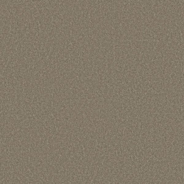Shaw Floors Retail SOMETHING SWEET - 00714 BARN WOOD