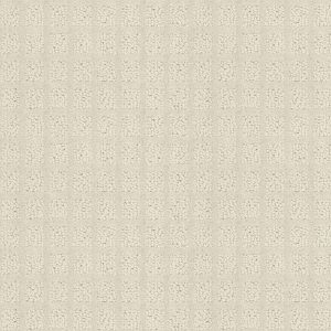 Shaw Floors Value BLOCKING - 00101 CREAM