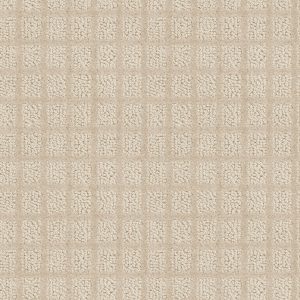 Shaw Floors Value BLOCKING - 00116 FLAX