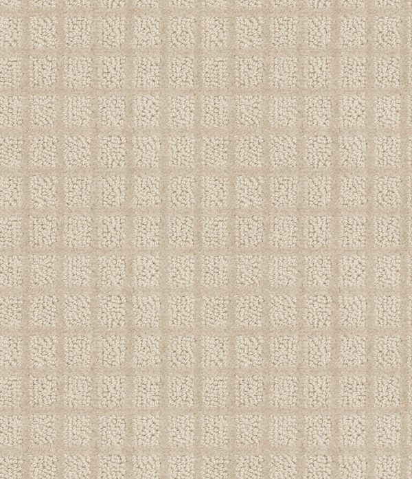 Shaw Floors Value BLOCKING - 00116 FLAX