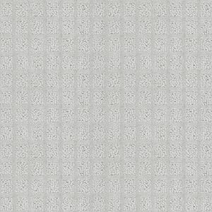 Shaw Floors Value BLOCKING - 00530 SILVER