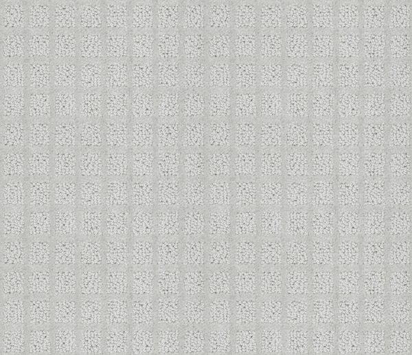 Shaw Floors Value BLOCKING - 00530 SILVER