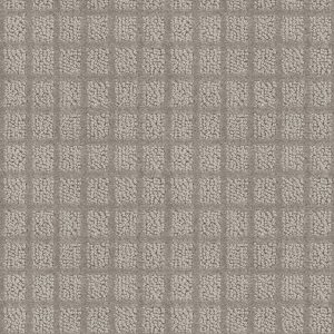 Shaw Floors Value BLOCKING - 00532 MINERAL