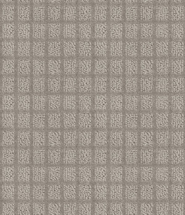 Shaw Floors Value BLOCKING - 00532 MINERAL