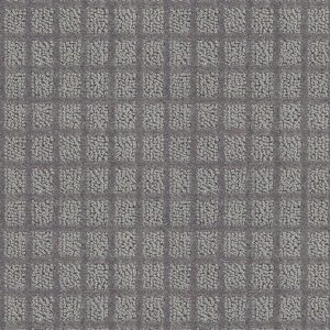 Shaw Floors Value BLOCKING - 00555 IRON