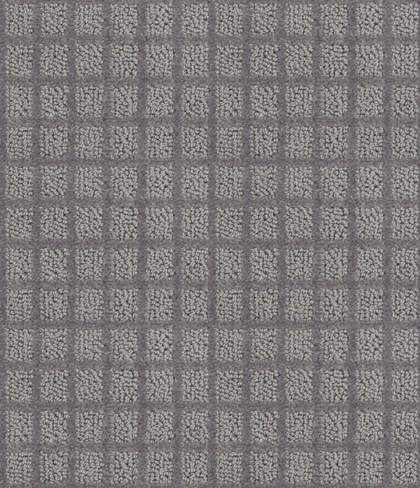 Shaw Floors Value BLOCKING - 00555 IRON