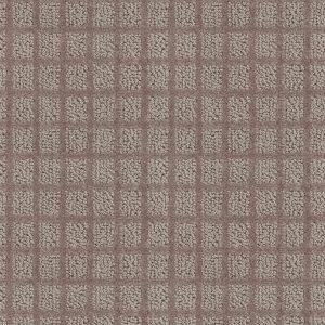 Shaw Floors Value BLOCKING - 00722 SANDALWOOD