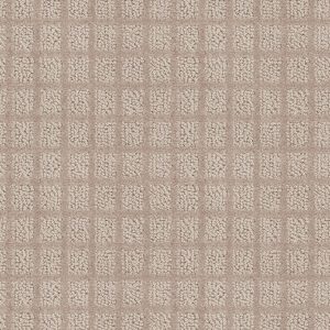 Shaw Floors Value BLOCKING - 00752 WALNUT