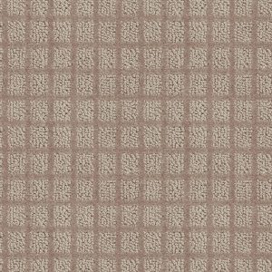 Shaw Floors Value BLOCKING - 00761 BRONZE
