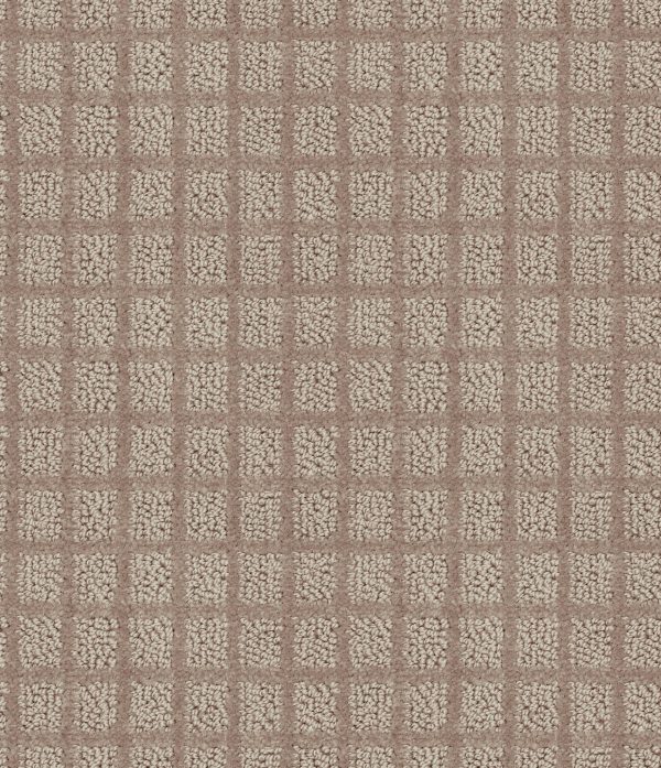 Shaw Floors Value BLOCKING - 00761 BRONZE