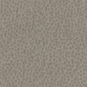 Shaw Floors Value LATTICE - 00761 BRONZE