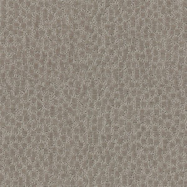 Shaw Floors Value LATTICE - 00761 BRONZE