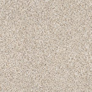 Shaw Floors Retail ELEMENTAL MIX III - 00170 PIXELS