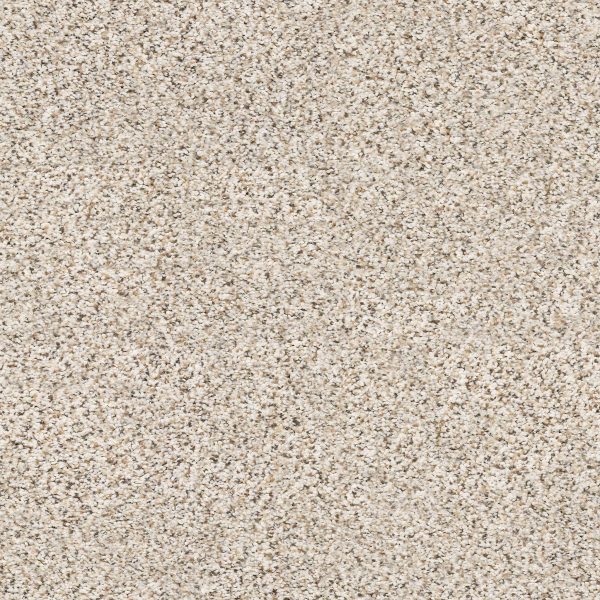 Shaw Floors Retail ELEMENTAL MIX III - 00170 PIXELS
