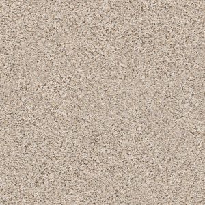 Shaw Floors Retail ELEMENTAL MIX III - 00171 GENTLE RAIN