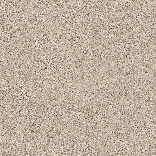 Shaw Floors Retail ELEMENTAL MIX III - 00171 GENTLE RAIN