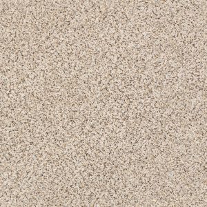 Shaw Floors Retail ELEMENTAL MIX III - 00172 HORIZON
