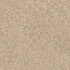 Shaw Floors Retail ELEMENTAL MIX III - 00174 SAND CASTLE