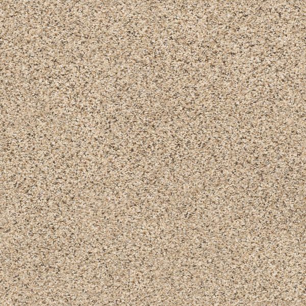 Shaw Floors Retail ELEMENTAL MIX III - 00174 SAND CASTLE