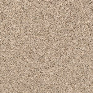 Shaw Floors Retail ELEMENTAL MIX III - 00175 TWINE