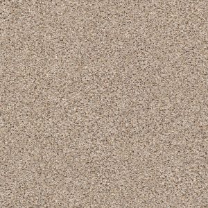 Shaw Floors Retail ELEMENTAL MIX III - 00176 ACREAGE