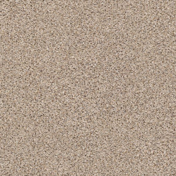 Shaw Floors Retail ELEMENTAL MIX III - 00176 ACREAGE