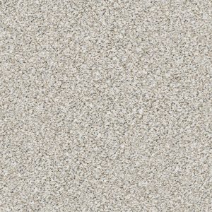 Shaw Floors Retail ELEMENTAL MIX III - 00177 WHITEWASH