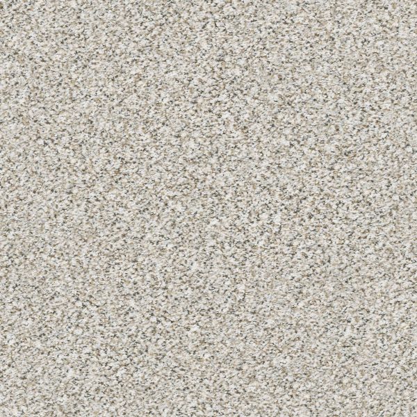 Shaw Floors Retail ELEMENTAL MIX III - 00177 WHITEWASH