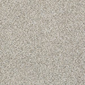 Shaw Floors Retail ELEMENTAL MIX III - 00178 SNOWBOUND