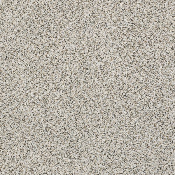 Shaw Floors Retail ELEMENTAL MIX III - 00178 SNOWBOUND