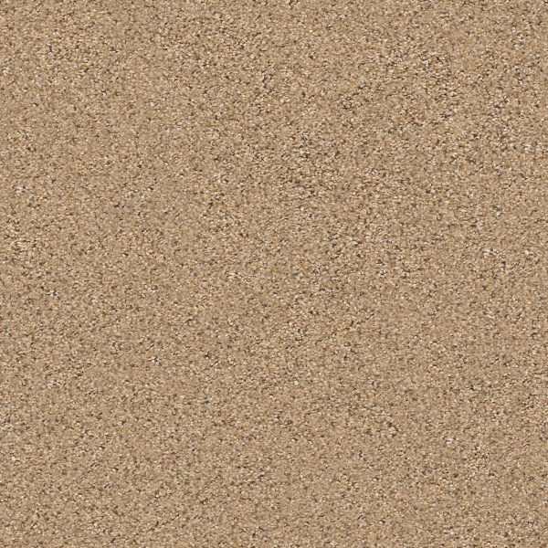 Shaw Floors Retail ELEMENTAL MIX III - 00270 BRIDLE LEATHER