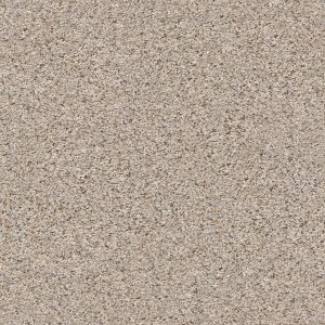 Shaw Floors Retail ELEMENTAL MIX III - 00570 PENCIL SKETCH