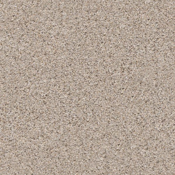 Shaw Floors Retail ELEMENTAL MIX III - 00570 PENCIL SKETCH