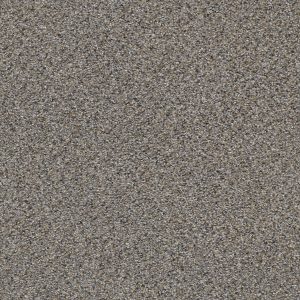 Shaw Floors Retail ELEMENTAL MIX III - 00571 ANTIQUE PIN