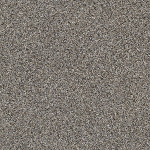 Shaw Floors Retail ELEMENTAL MIX III - 00571 ANTIQUE PIN