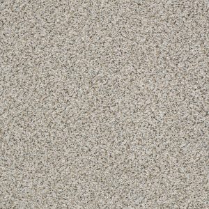 Shaw Floors Retail ELEMENTAL MIX III - 00572 SILVER LINING