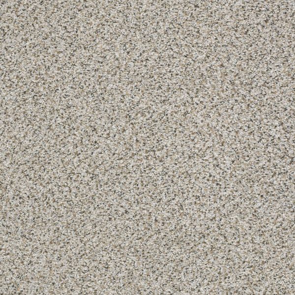 Shaw Floors Retail ELEMENTAL MIX III - 00572 SILVER LINING