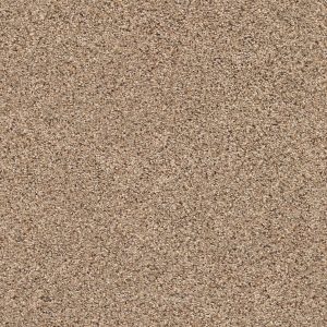 Shaw Floors Retail ELEMENTAL MIX III - 00770 ARROWHEAD