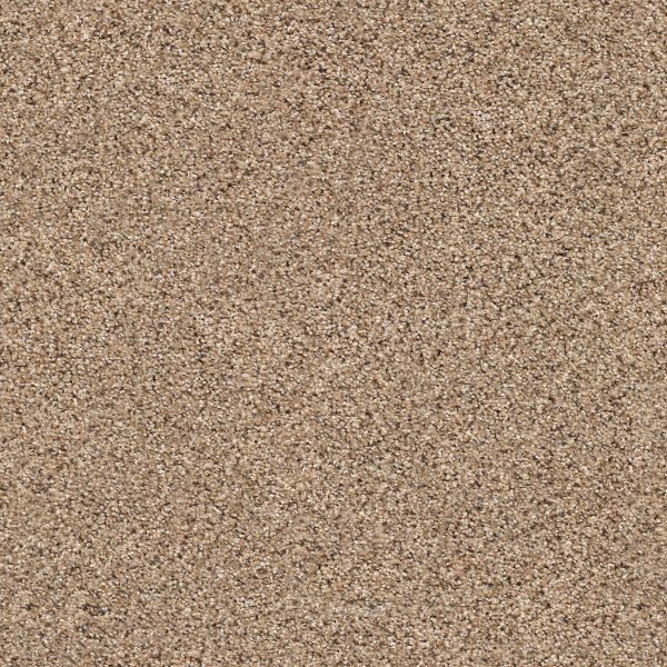 Shaw Floors Retail ELEMENTAL MIX III - 00770 ARROWHEAD