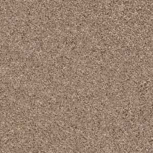 Shaw Floors Retail ELEMENTAL MIX III - 00771 COBBLE DRIVE