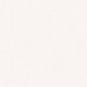 Shaw Floors Retail KEEN SENSES I - 00170 WHITE HOT