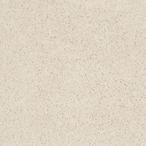 Shaw Floors Retail KEEN SENSES I - 00100 IVORY PAPER