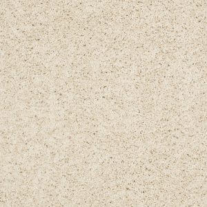 Shaw Floors Retail KEEN SENSES I - 00101 TREASURE