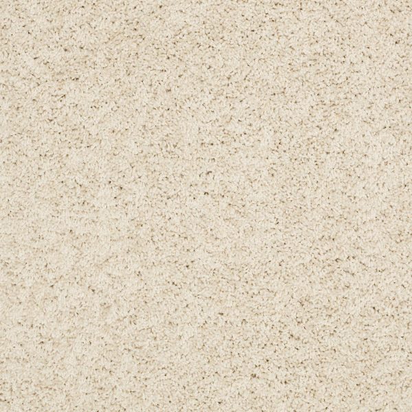 Shaw Floors Retail KEEN SENSES I - 00101 TREASURE