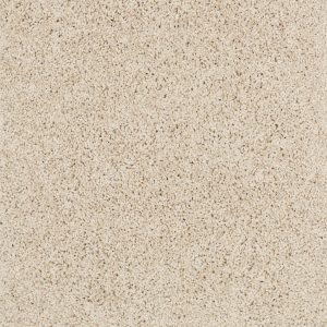Shaw Floors Retail KEEN SENSES I - 00103 SHORELINE