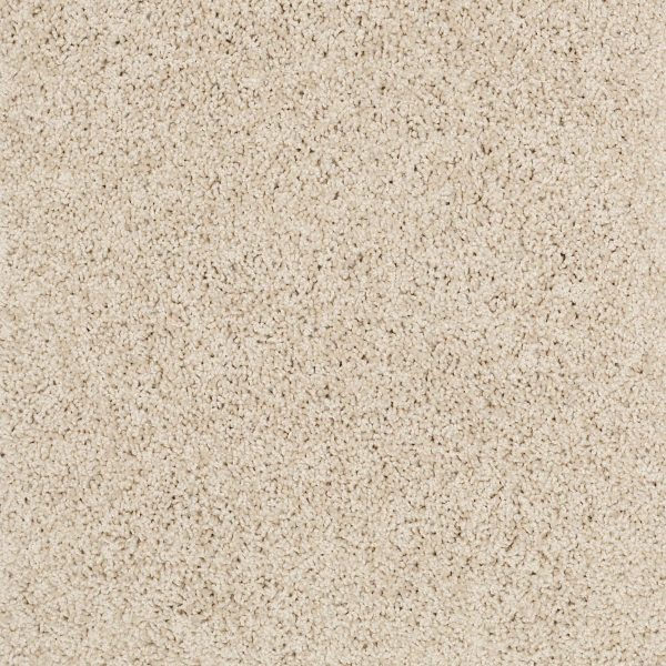 Shaw Floors Retail KEEN SENSES I - 00103 SHORELINE