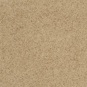 Shaw Floors Retail KEEN SENSES I - 00105 GOLDEN RULE