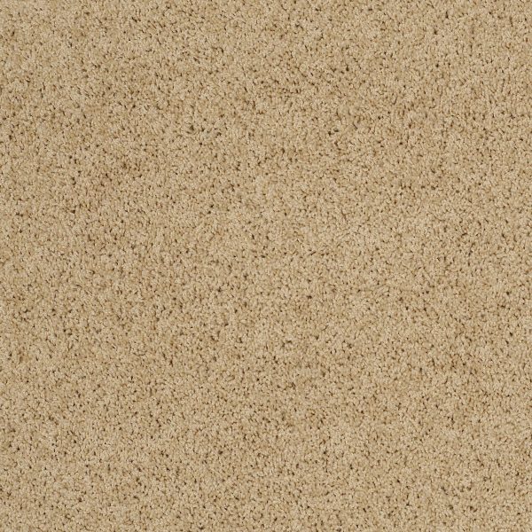 Shaw Floors Retail KEEN SENSES I - 00105 GOLDEN RULE